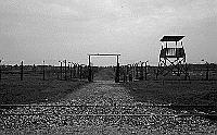 Auschwitz II Birkenau photos - Selection Ramp  - Gateway to Men's Camp