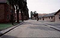 Auschwitz I Main Camp photos - Alley to Appellplatz