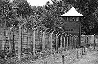 Auschwitz I Main Camp photos - Fences and Guard Tower
