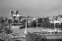 Black and white photo Paris - Institut du Monde Arabe - View onto Ile de la Cité